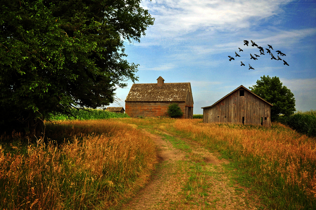 Iowa photo