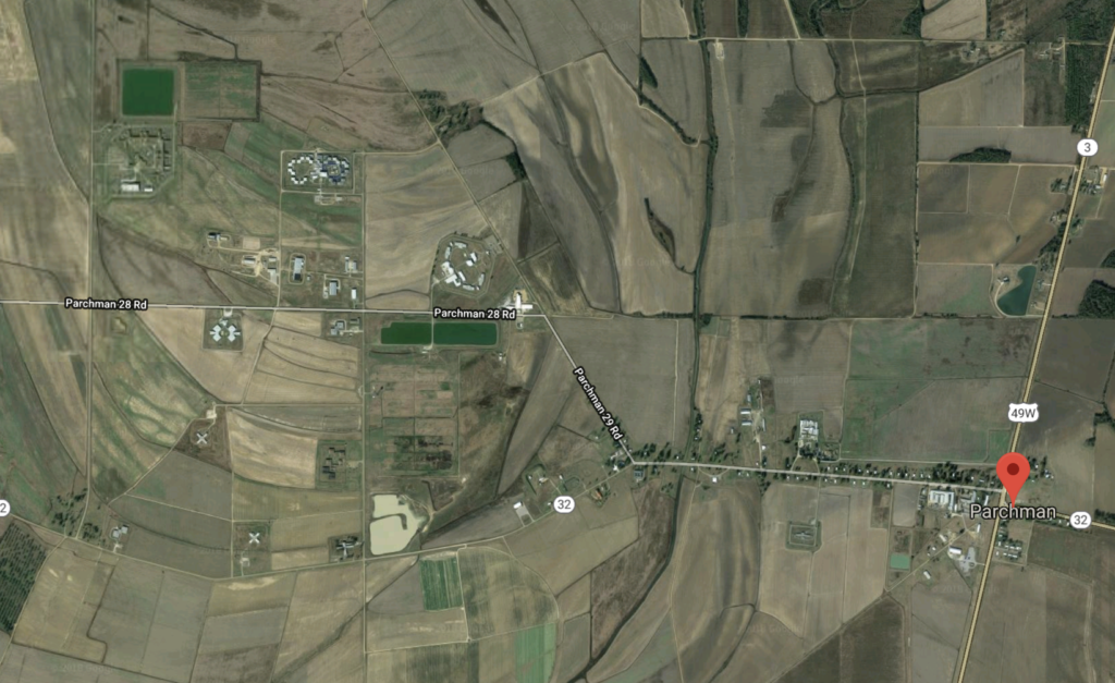 parchman farm Much Madness is Divinest Sense